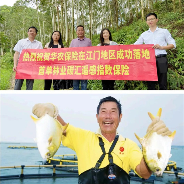 1670241337602130.jpg 8.jpg