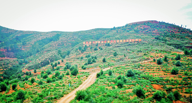 華邦在云南投資建設(shè)國(guó)儲(chǔ)林30余萬(wàn)畝_副本.jpg